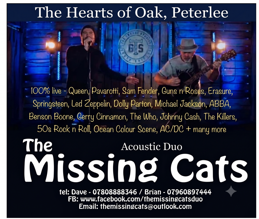 Missing Cats Poster